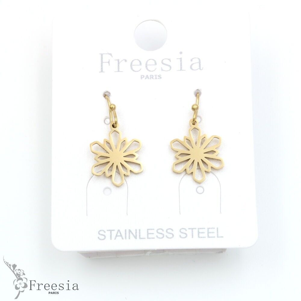 Boucles d'oreilles acier - 11343