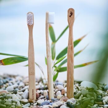 Lot de 4 brosses à dents en bambou adulte (blanc // souple) 3