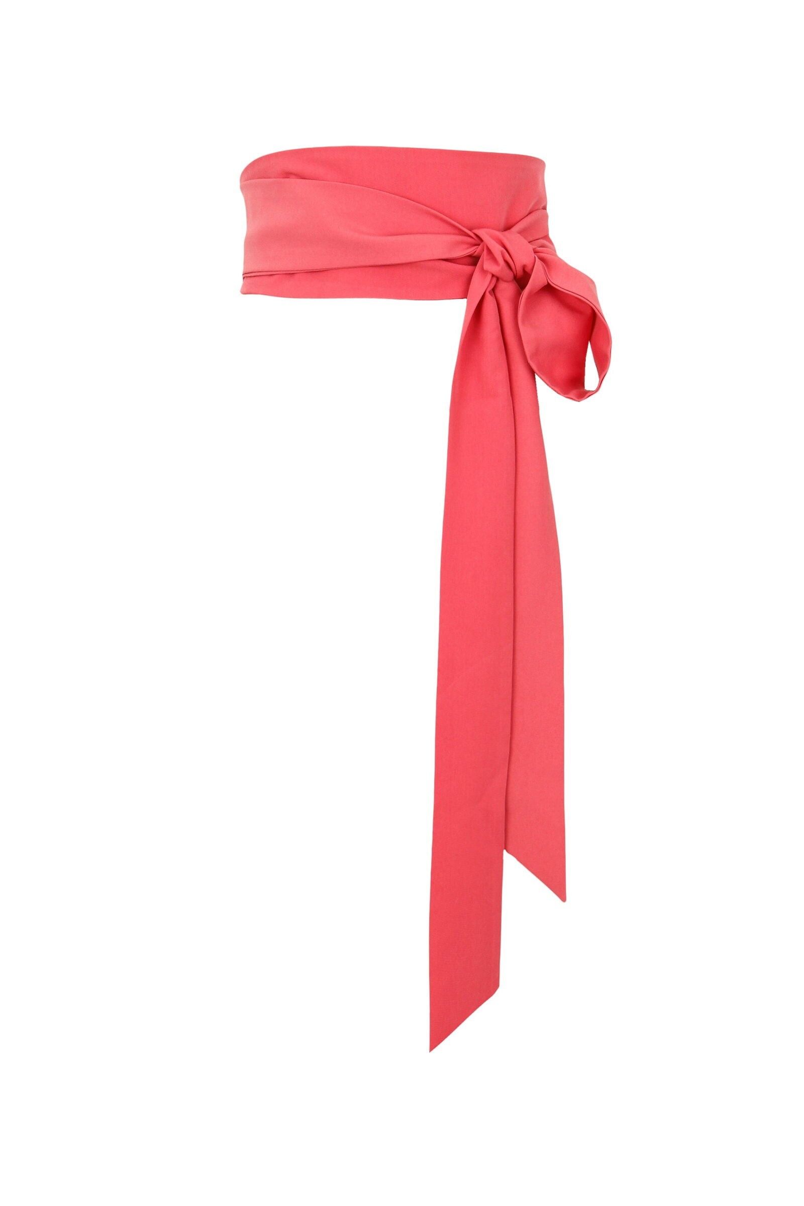 Cinturón de carpeta de Salmon