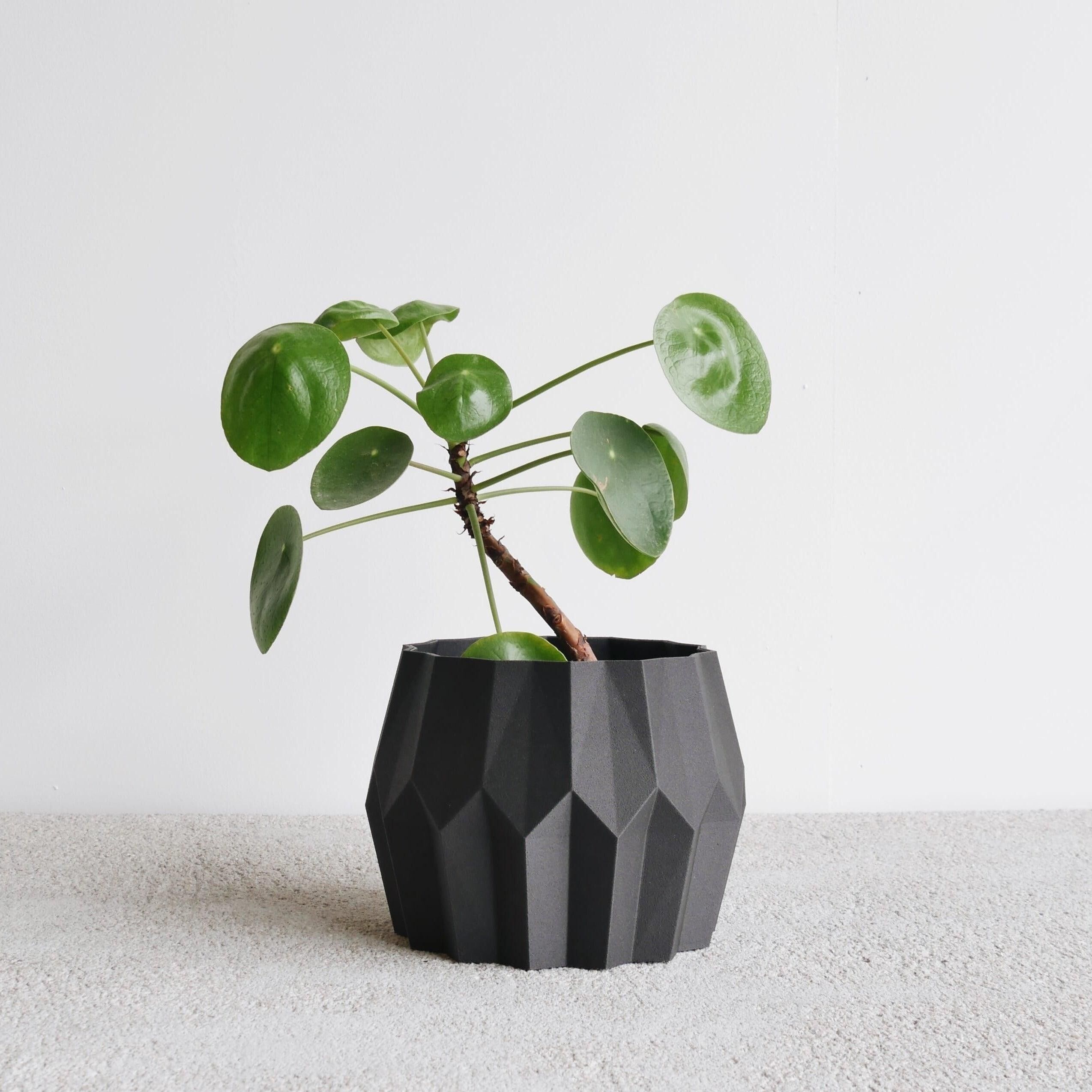 TOKYO Zimmerpflanzgefäß
