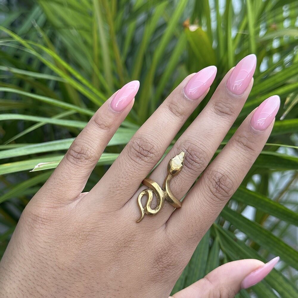 Anillo de serpiente