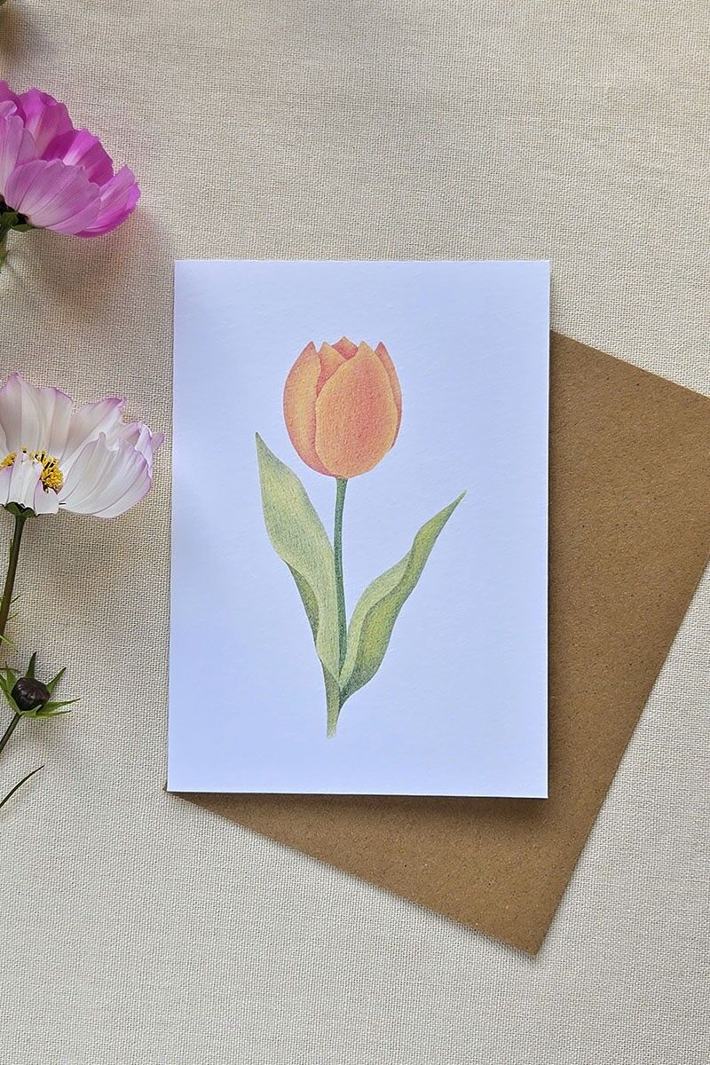 Farbstiftkarte - Tulpe