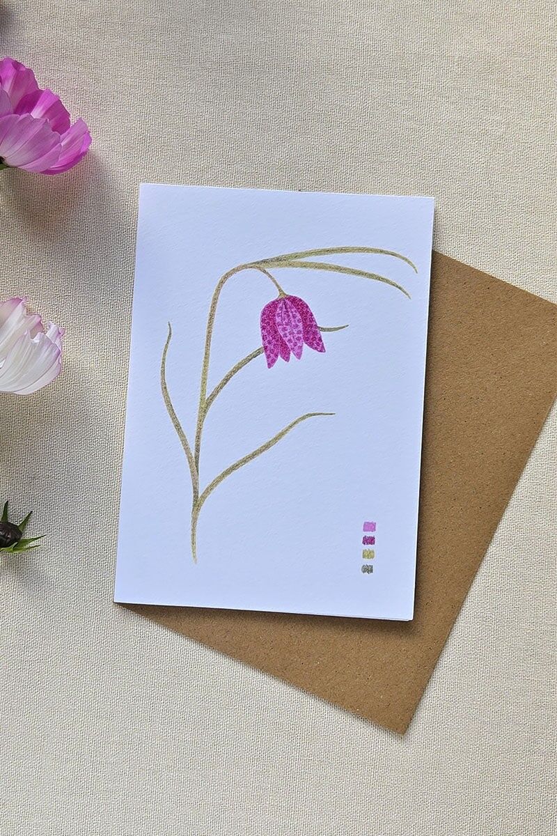 Carta au crayon de couleur - Fleur fritillaire pintade