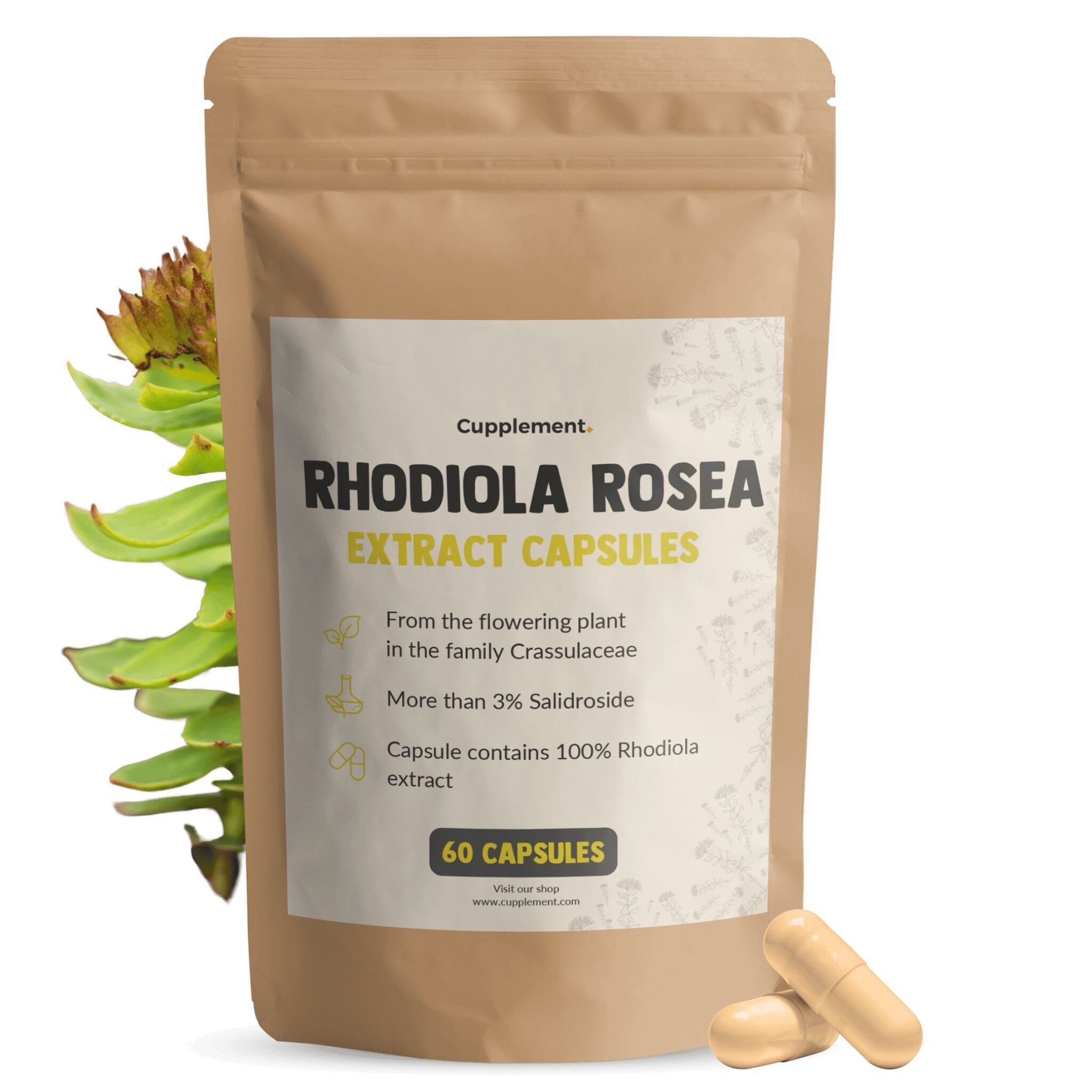 Complemento de Rhodiola Rosea 500 mg - Rosavins - Focus - Rhodiola Rosea - Nootrópico - Suministro para 60 días por bolsa