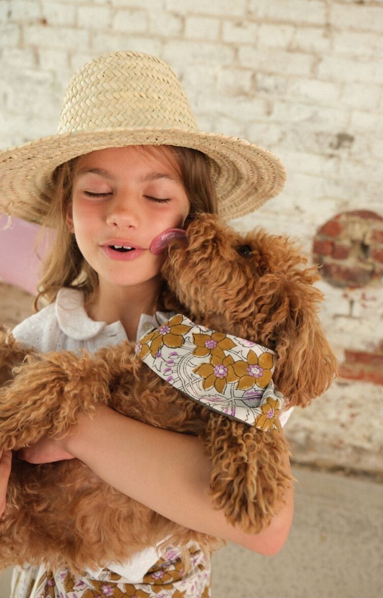 Large Dog Bandana Lurex Camel