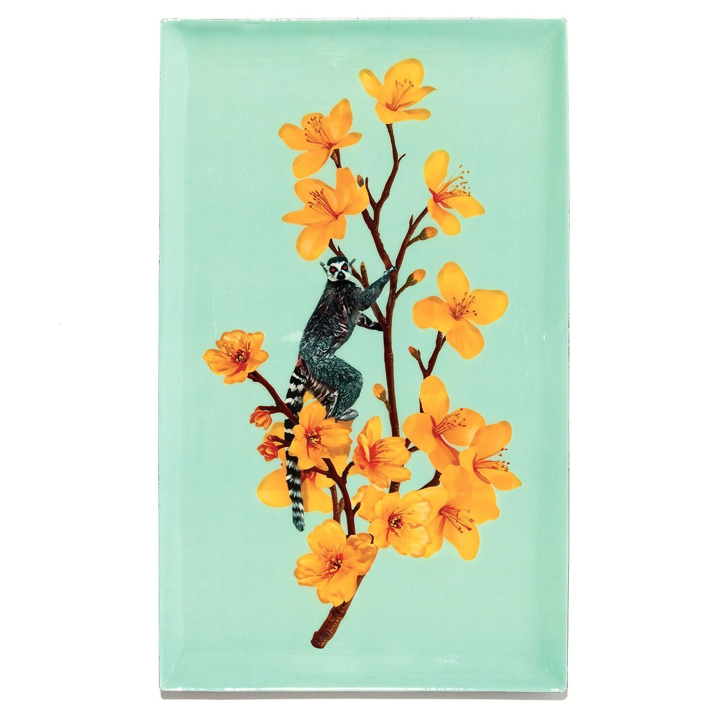 Lemy rectangular tray