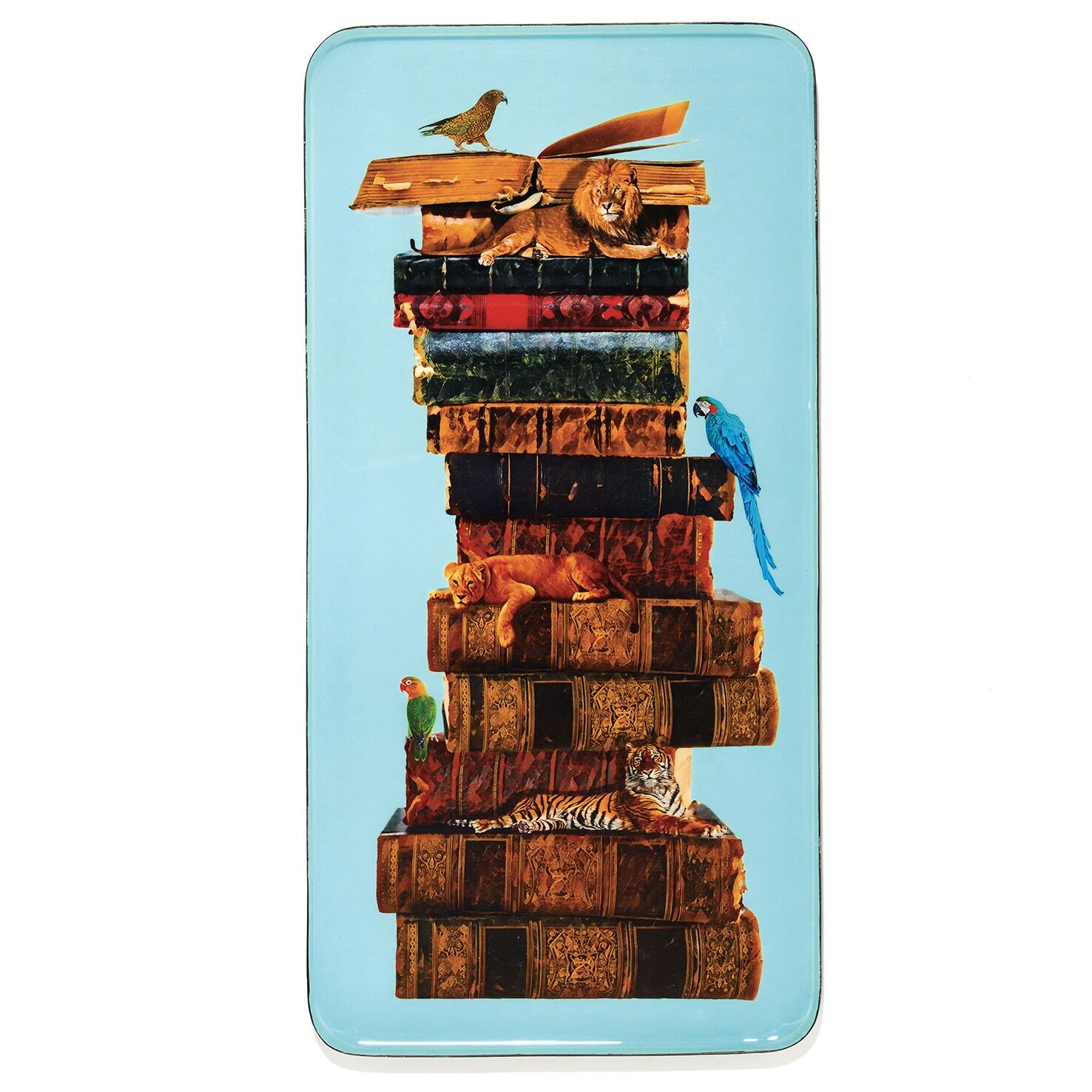 Anibook rectangular tray