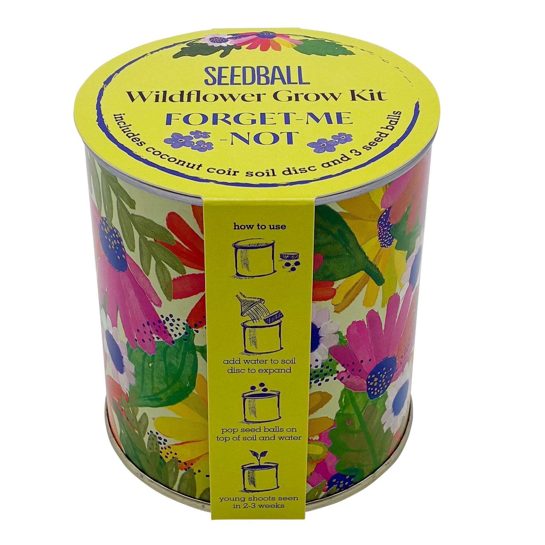 Kit de cultivo de flores silvestres Seedball