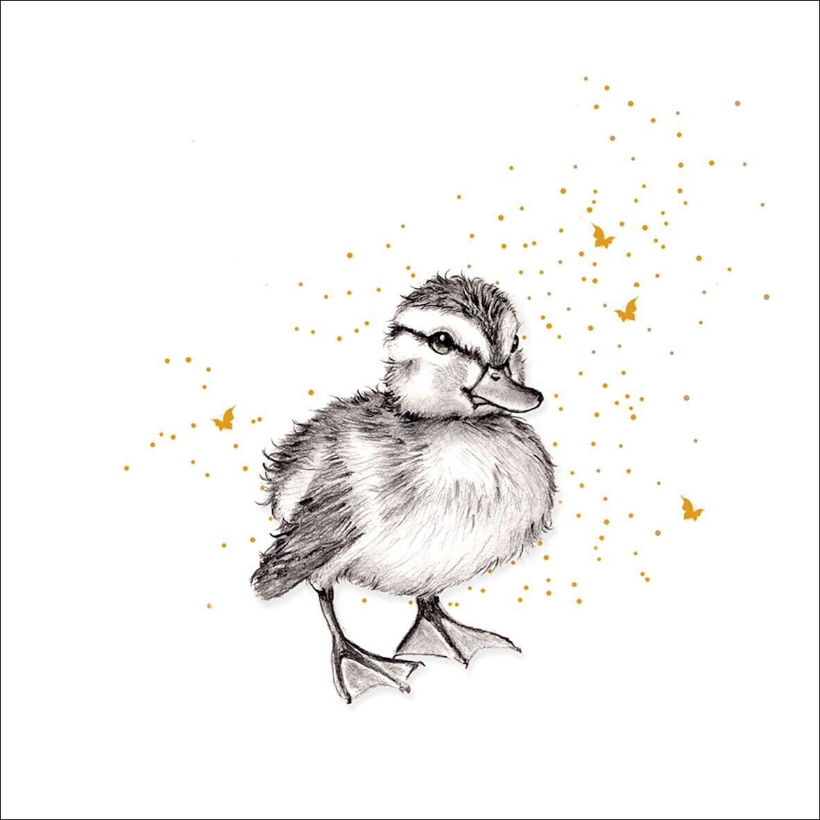 MAIZIE DOUBLE CARDS - LEAR CREATION CL 3808 BL