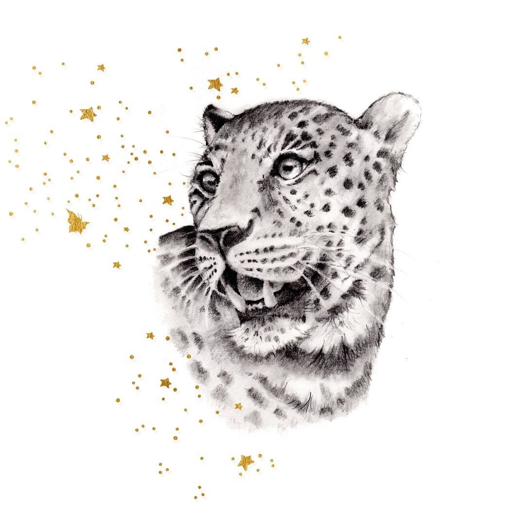 MAIZIE DOUBLE CARDS - CLEAR CREATION CL 3819