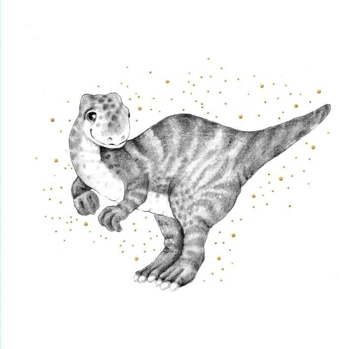 MAIZIE DOUBLE CARDS - CLEAR CREATION CL 3824