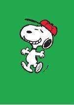 CARTE HYPE DOPPIE - SNOOP 64 - SNOOPY