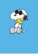 DOPPEL-HYPE-KARTEN - SNOOP 65 - SNOOPY