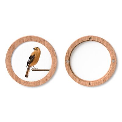 2pack round frames - "Circular Mini" - beech