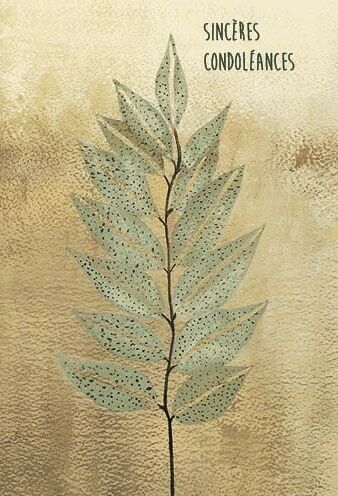 CARTE DOPPIE DI CATTURA 12X17 NC 030813F