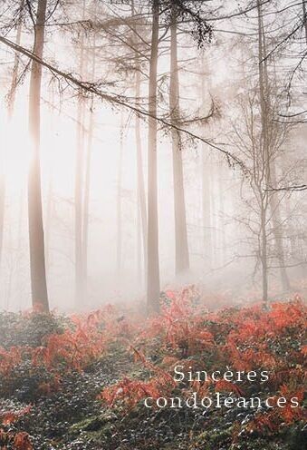 DOPPEL-FANGKARTEN 12X17 NC 218649F