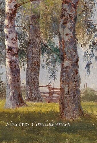 CARTES DOUBLES CATCH 12X17  NC 23146F