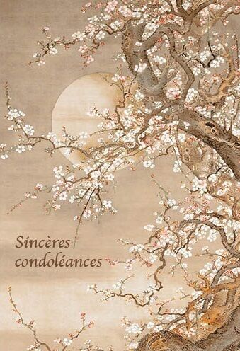 CARTES DOUBLES CATCH 12X17 NC 240660F