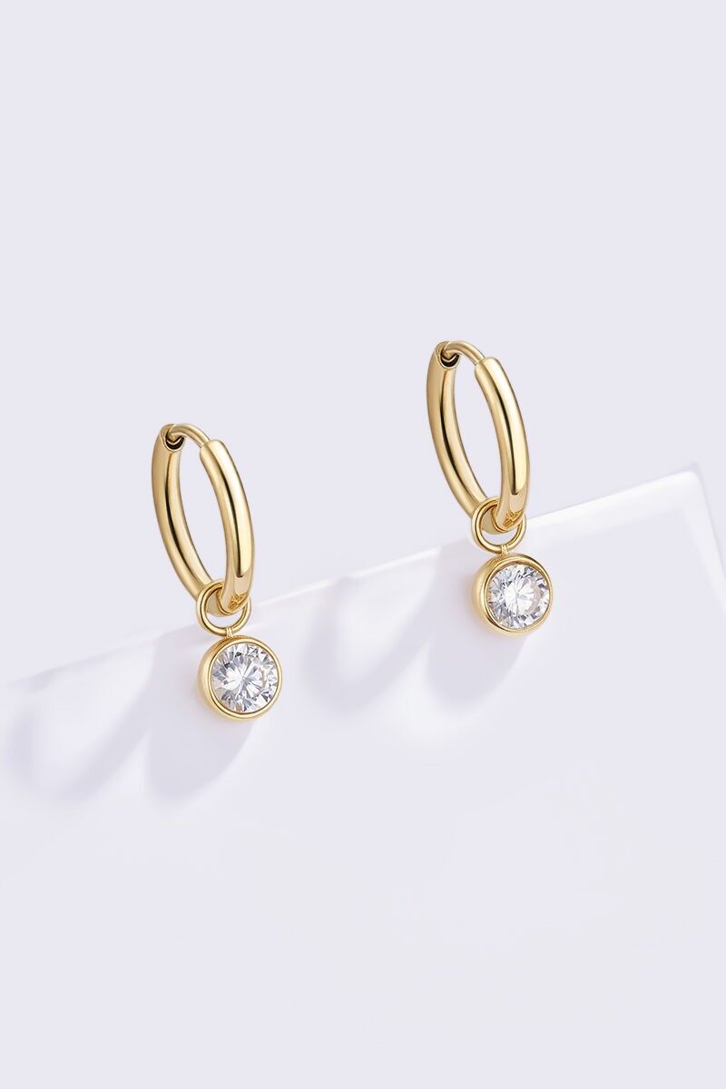 Stainless steel earrings 124AQ556