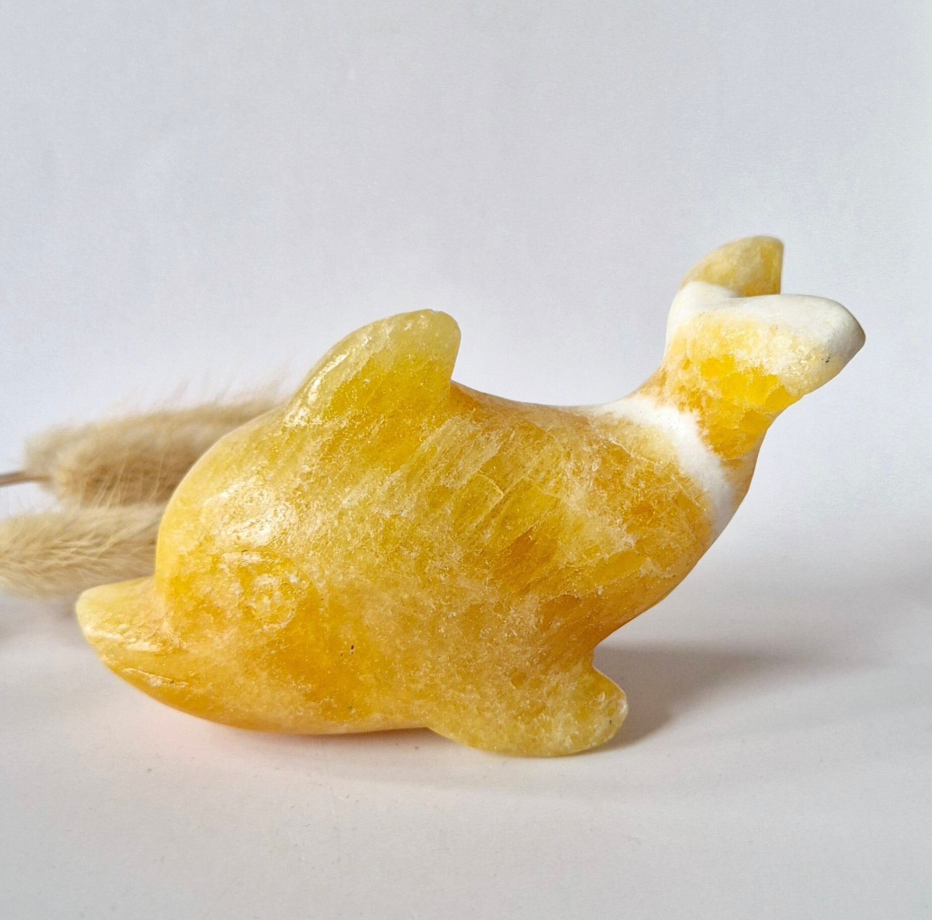 Honigkalzit-Delfin – Schützende Edelstein-Delfin-Schnitzerei (11 cm)