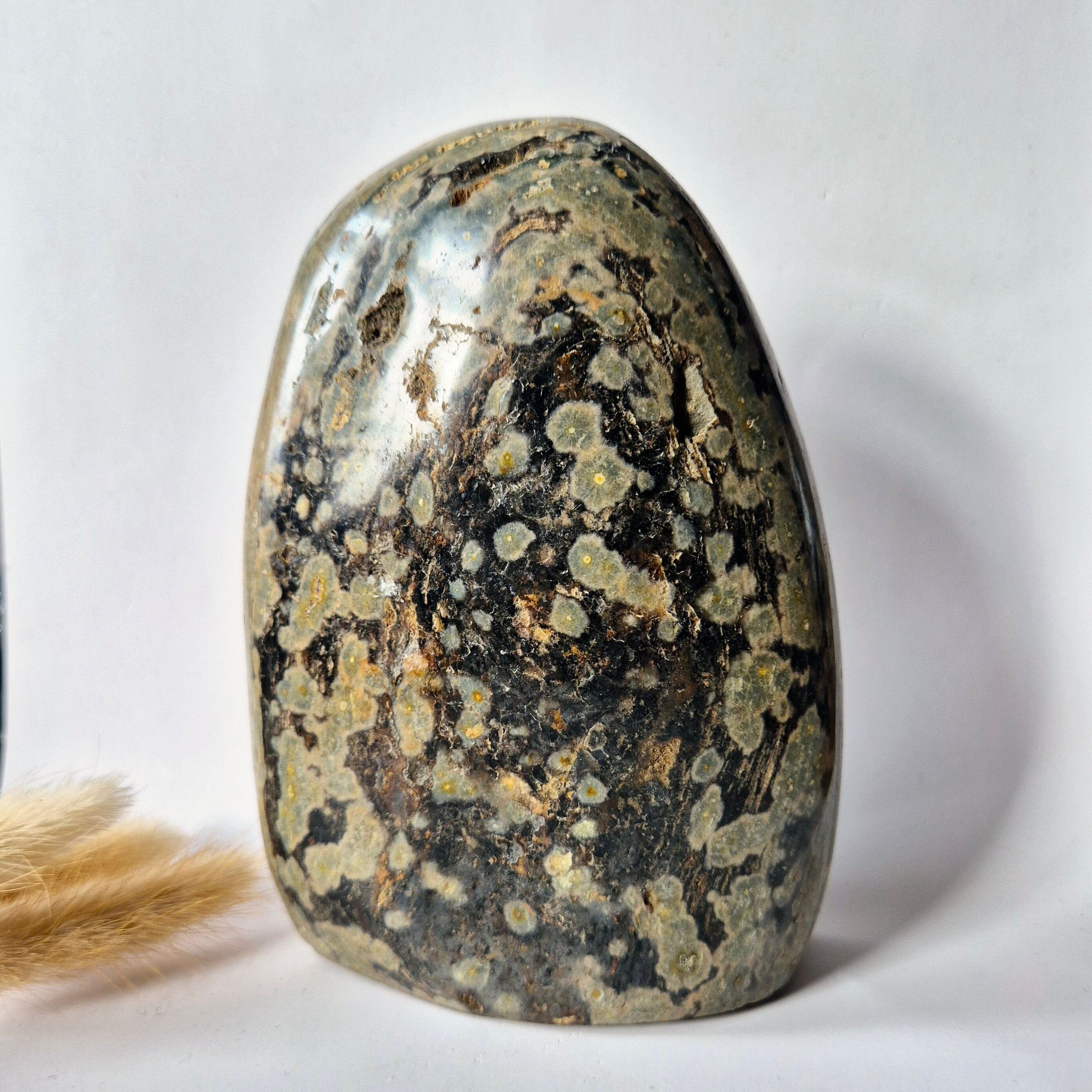 Spirituelles Schmuckstück aus Ozeanjaspis, Freiform – 1076 Gramm