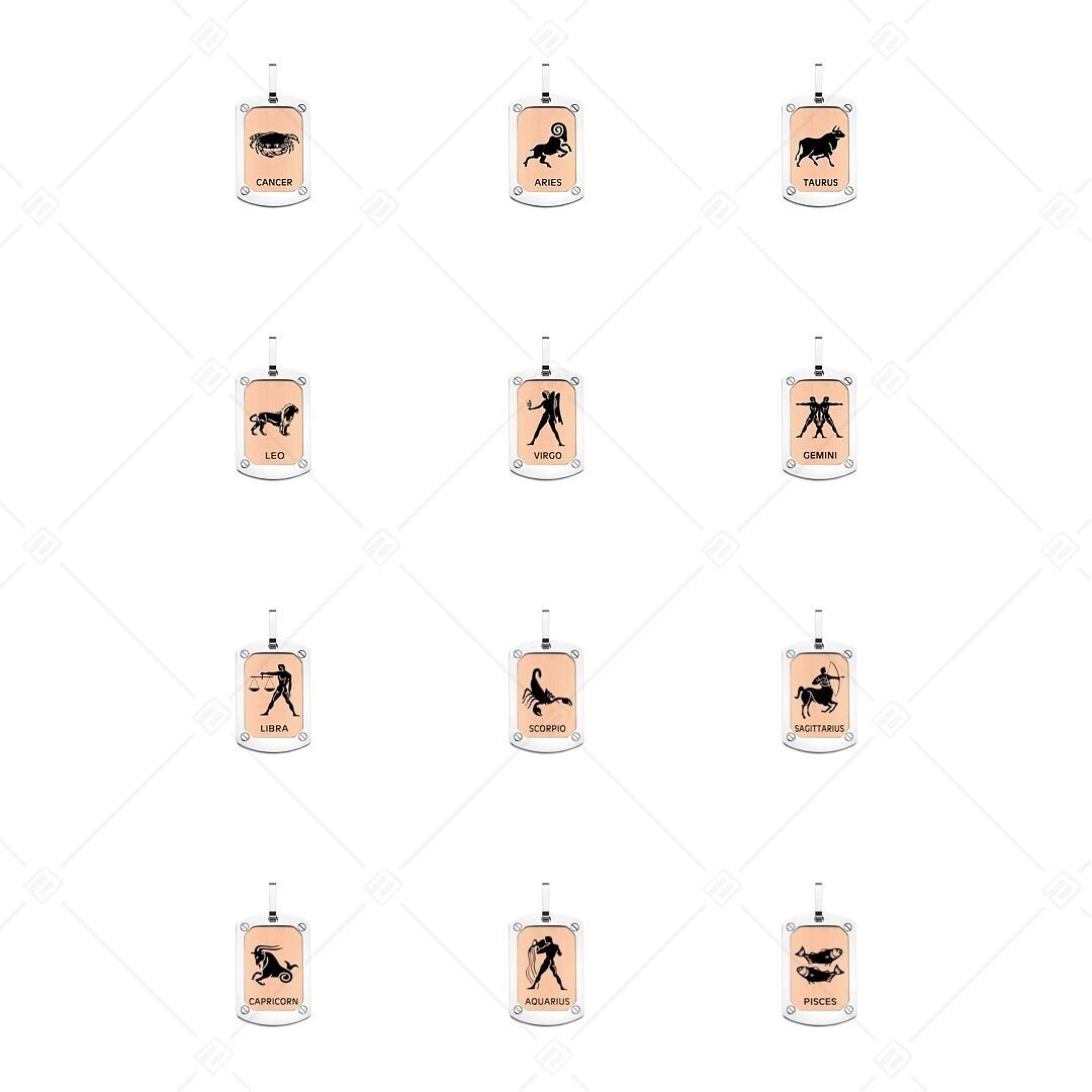 BALCANO - Zodiac Pendant - 12 zodiac sign package