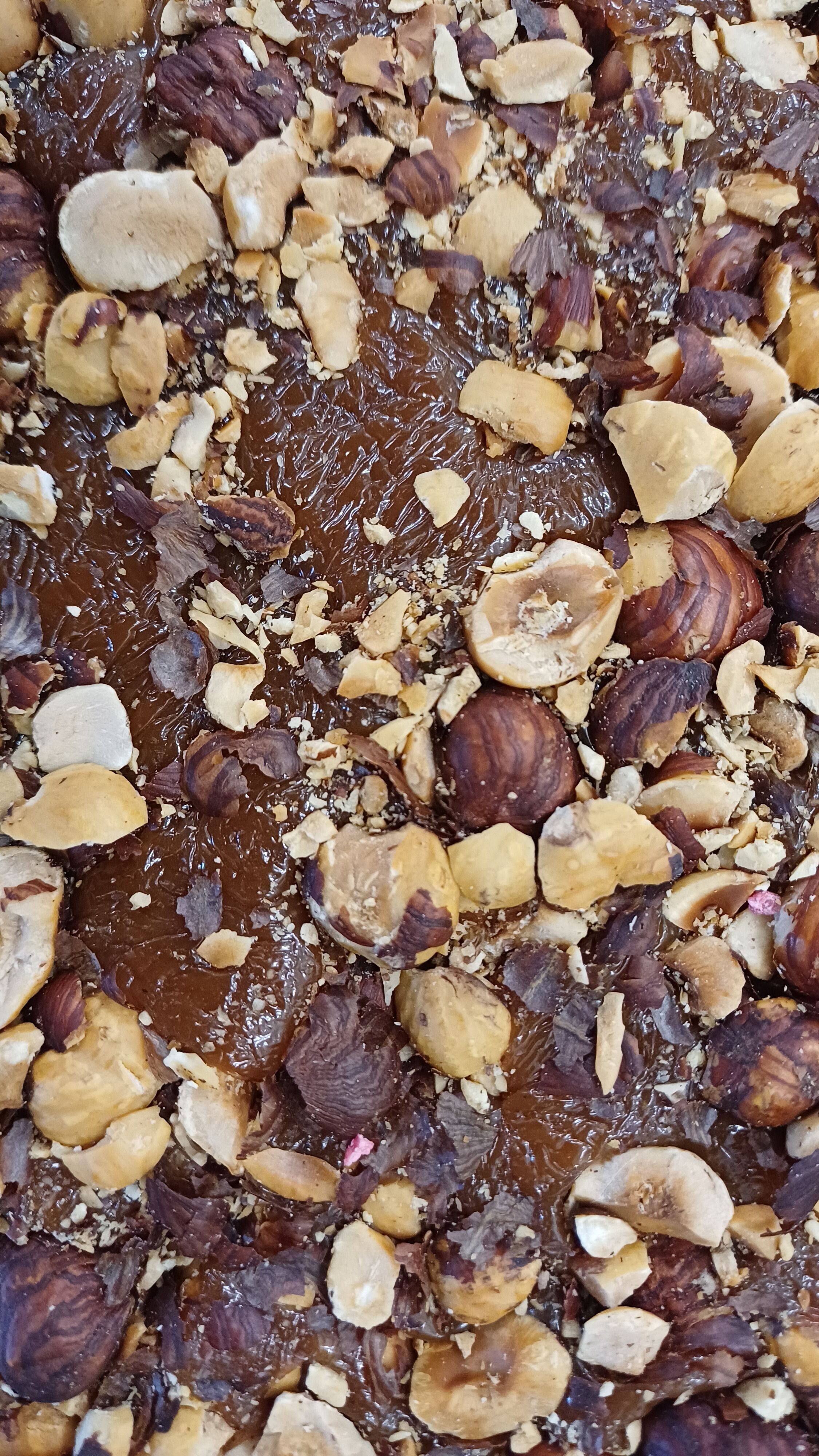 Caramel Plaque - Roasted Hazelnut Pieces (20%) 2.5 kg