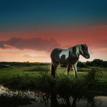 Le Hampshire : Bougie à 3 mèches 2