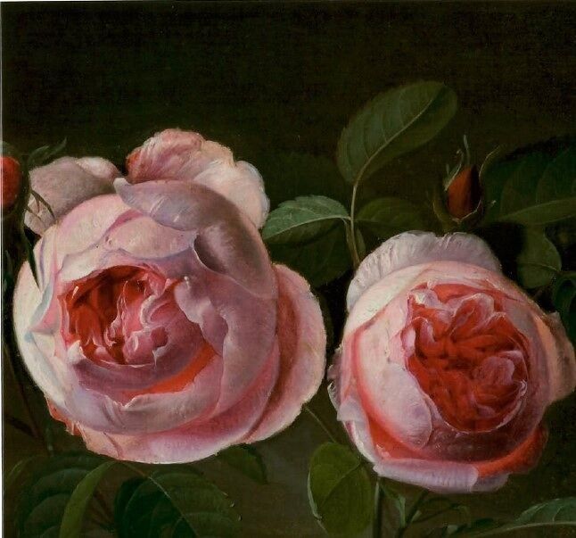 REPRODUCCIÓN ARTÍSTICA DE MAPAS DOBLES DE FENICIA TR 56