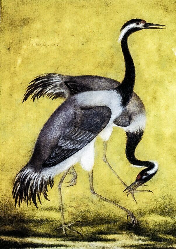 REPRODUCCIÓN DE ARTE DE MAPAS DOBLES DE FENICIA TR 99