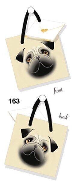 SACS  MARK JAMIESON 163