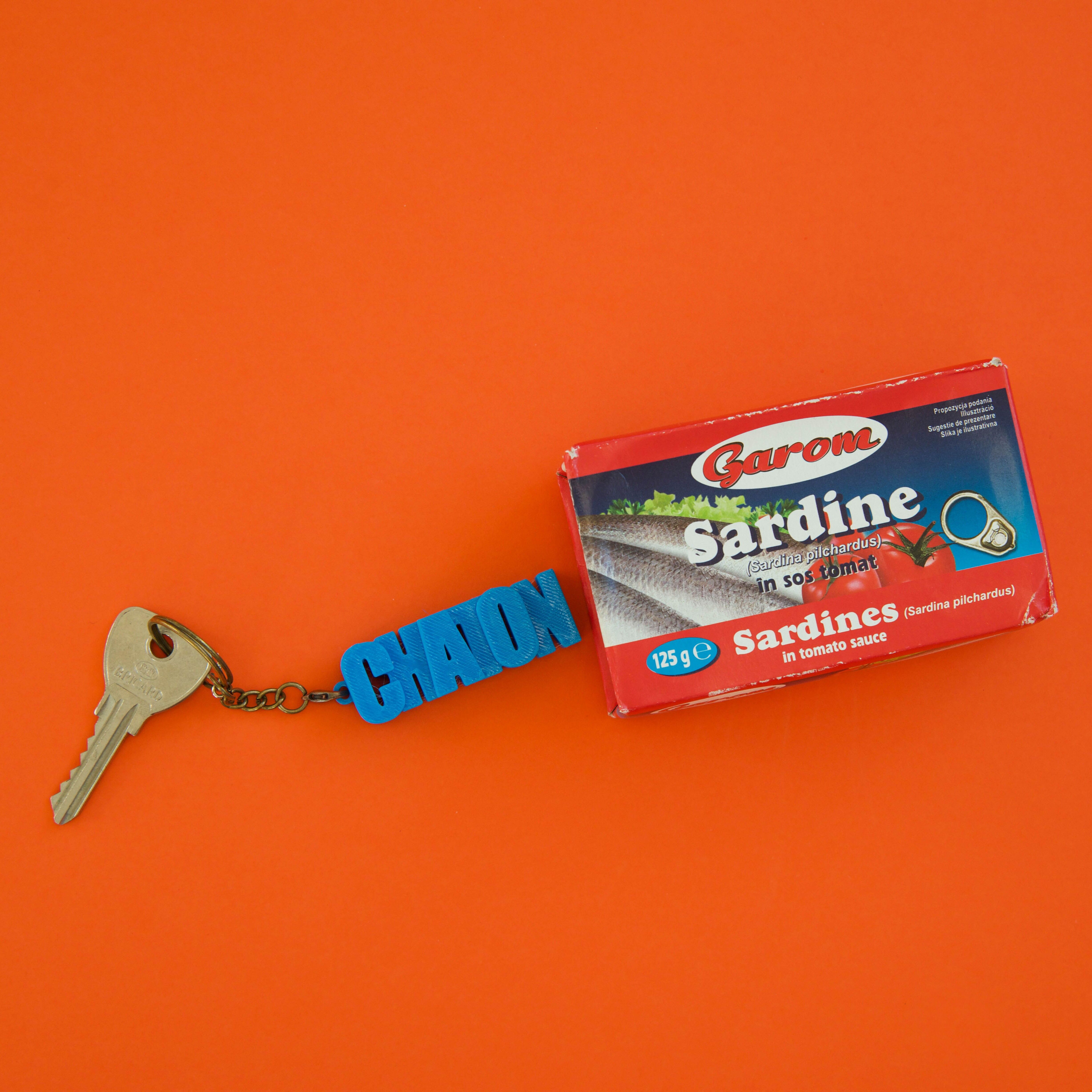 Schlüsselanhänger mit Botschaft – Kätzchen