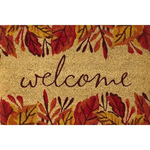 Zerbino Etoile 'Benvenuto' (pod-008-113)