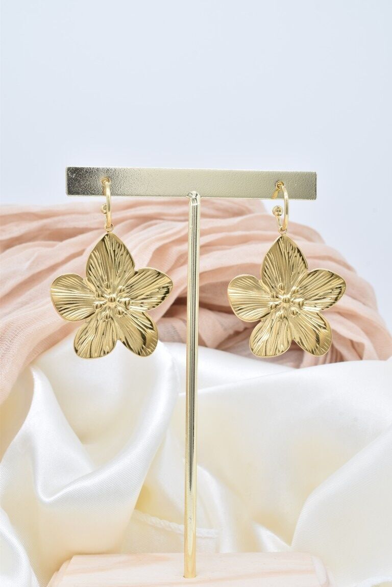 Stainless steel earrings - BO100416