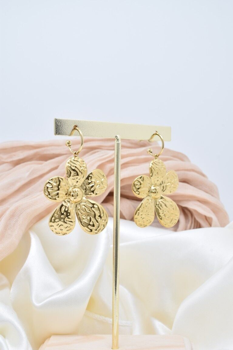 Stainless steel earrings - BO100417