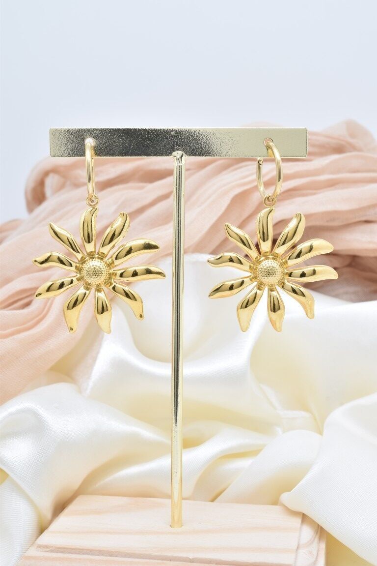 Boucles d'oreilles en acier inoxydable - BO100420