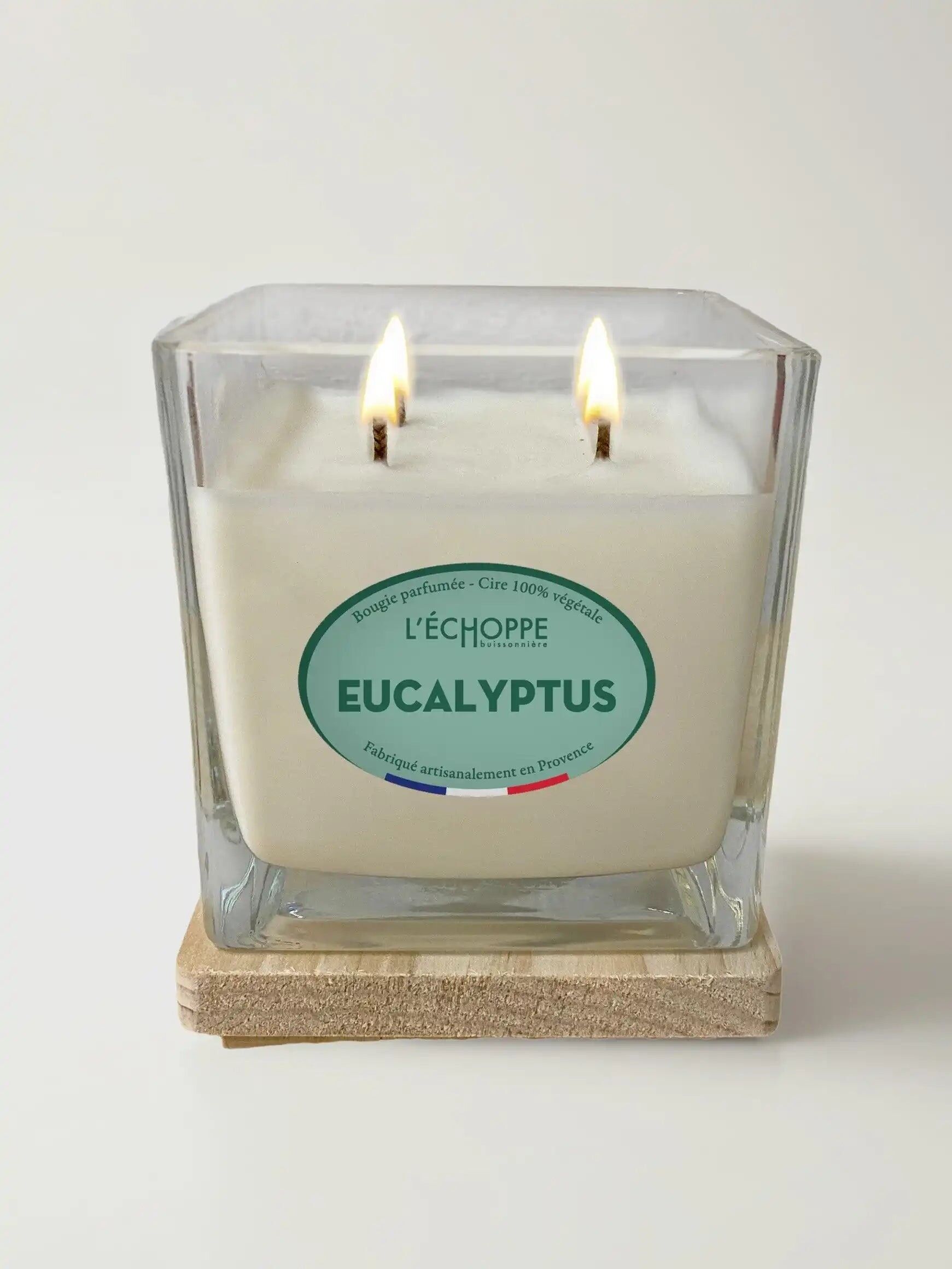 Eucalipto - Candela profumata 400g