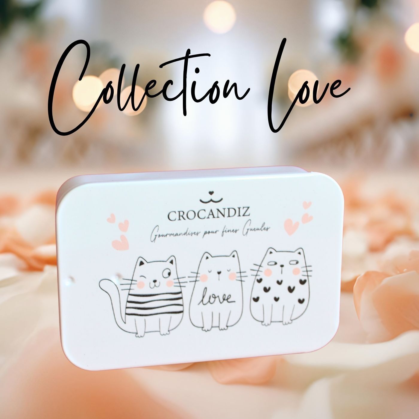 Leckerlibox für Katzen