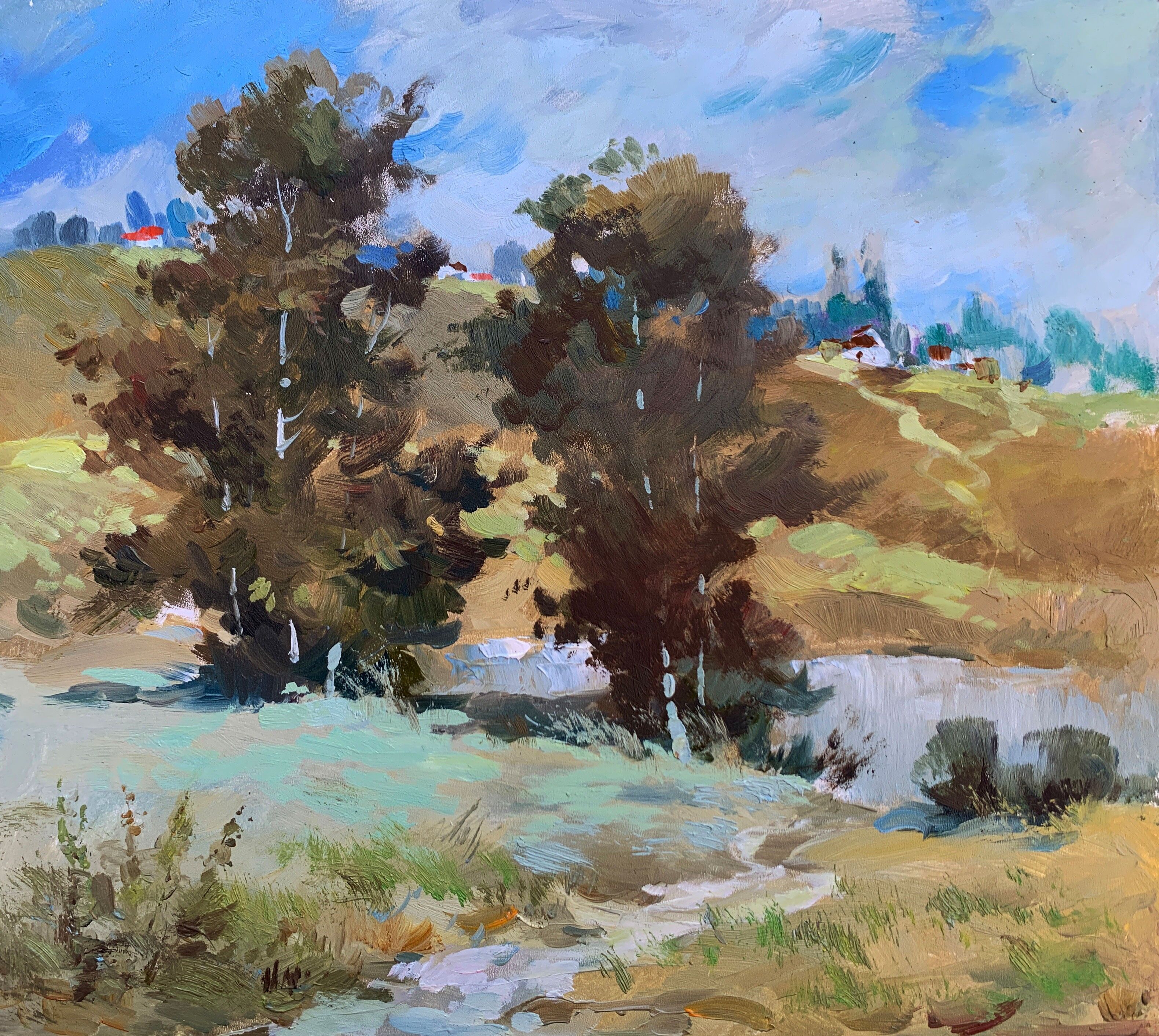 Dipinto ad olio Stagno del villaggio Yuriy Suprunchuk 26x29 cm