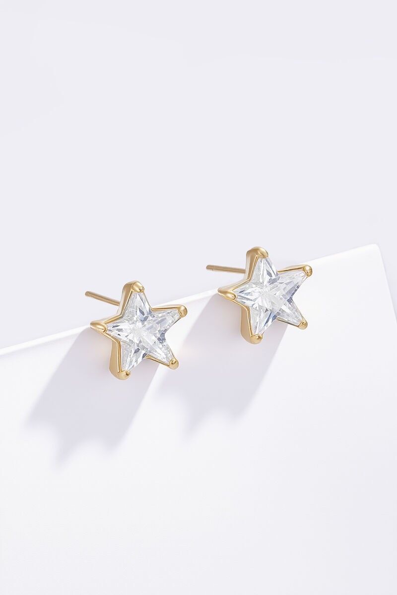 Stainless steel earrings 124AQ551