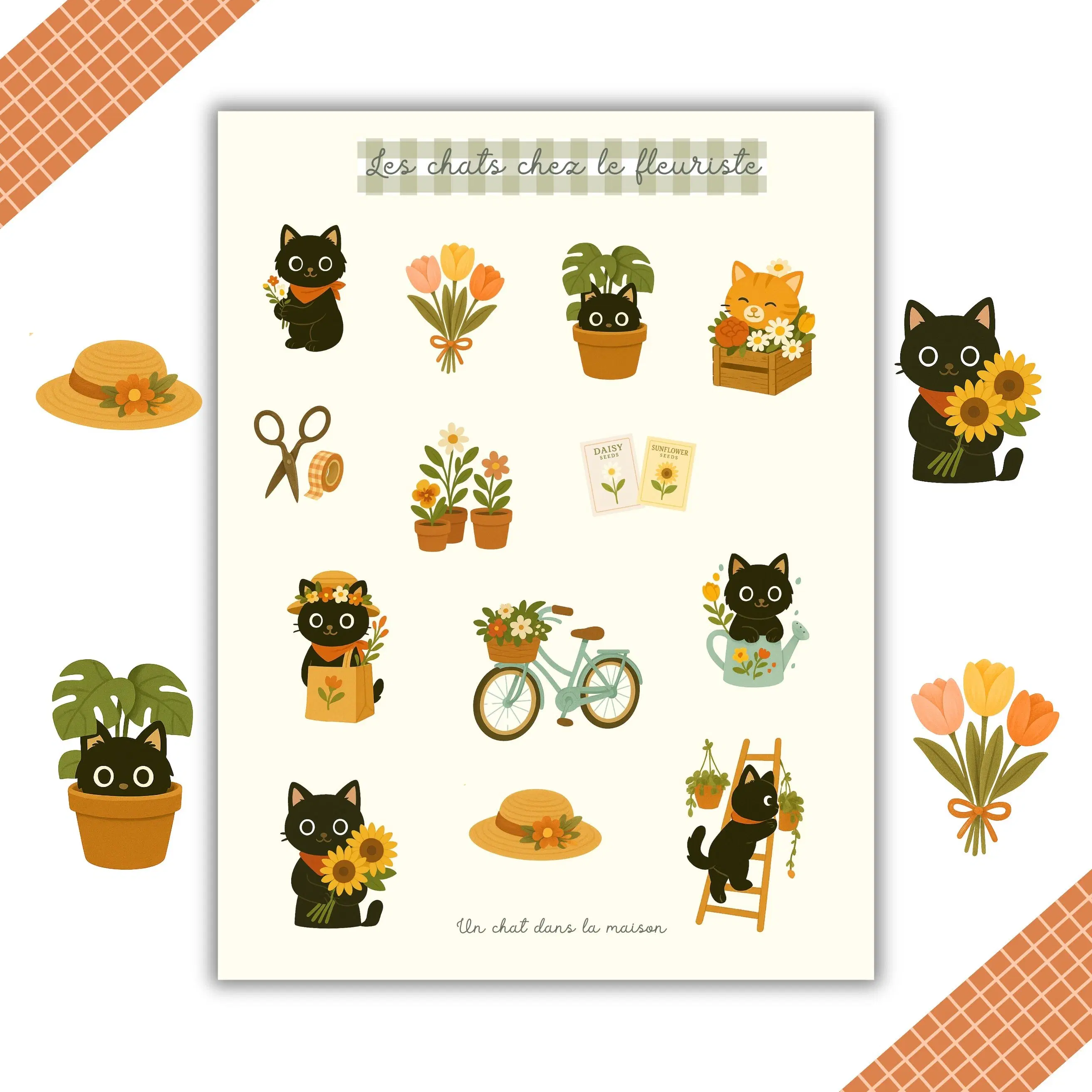 Achat Planches stickers - chats chez le fleuriste en gros