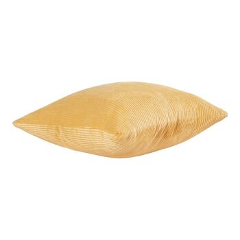 Coussin Blanca-Curry 2
