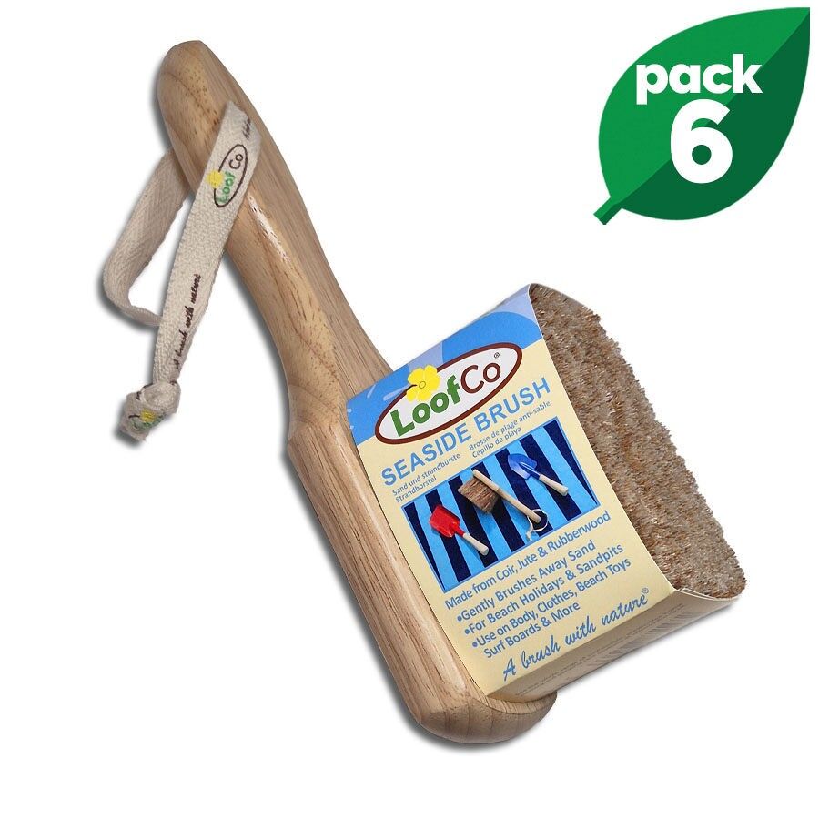 Strandbürste | Großpackung mit 6 Stück | 5 % Rabatt | Strandbürste