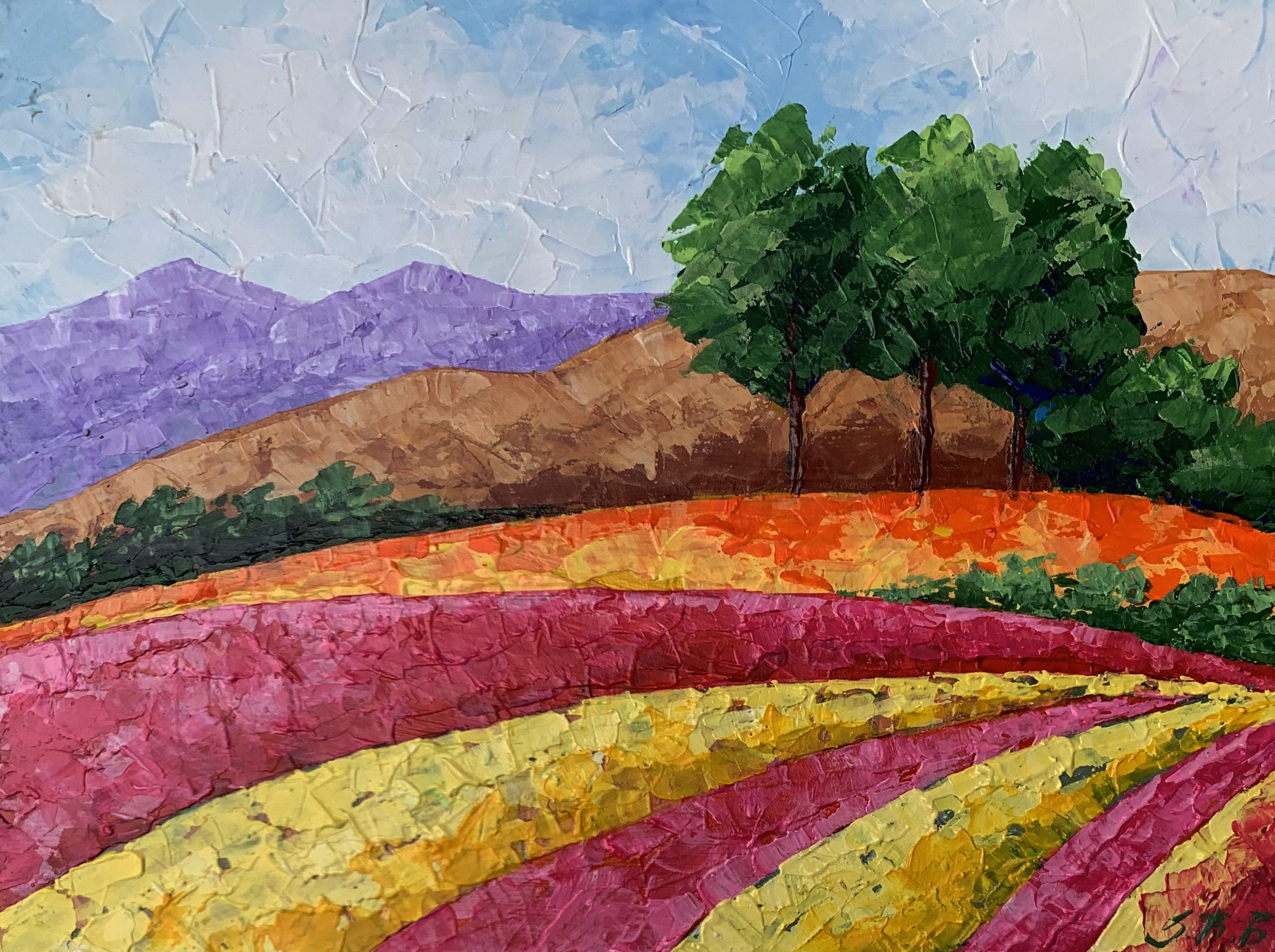 Dipinto ad olio Campi di montagna Zadorozhnya Vita 15x20cm