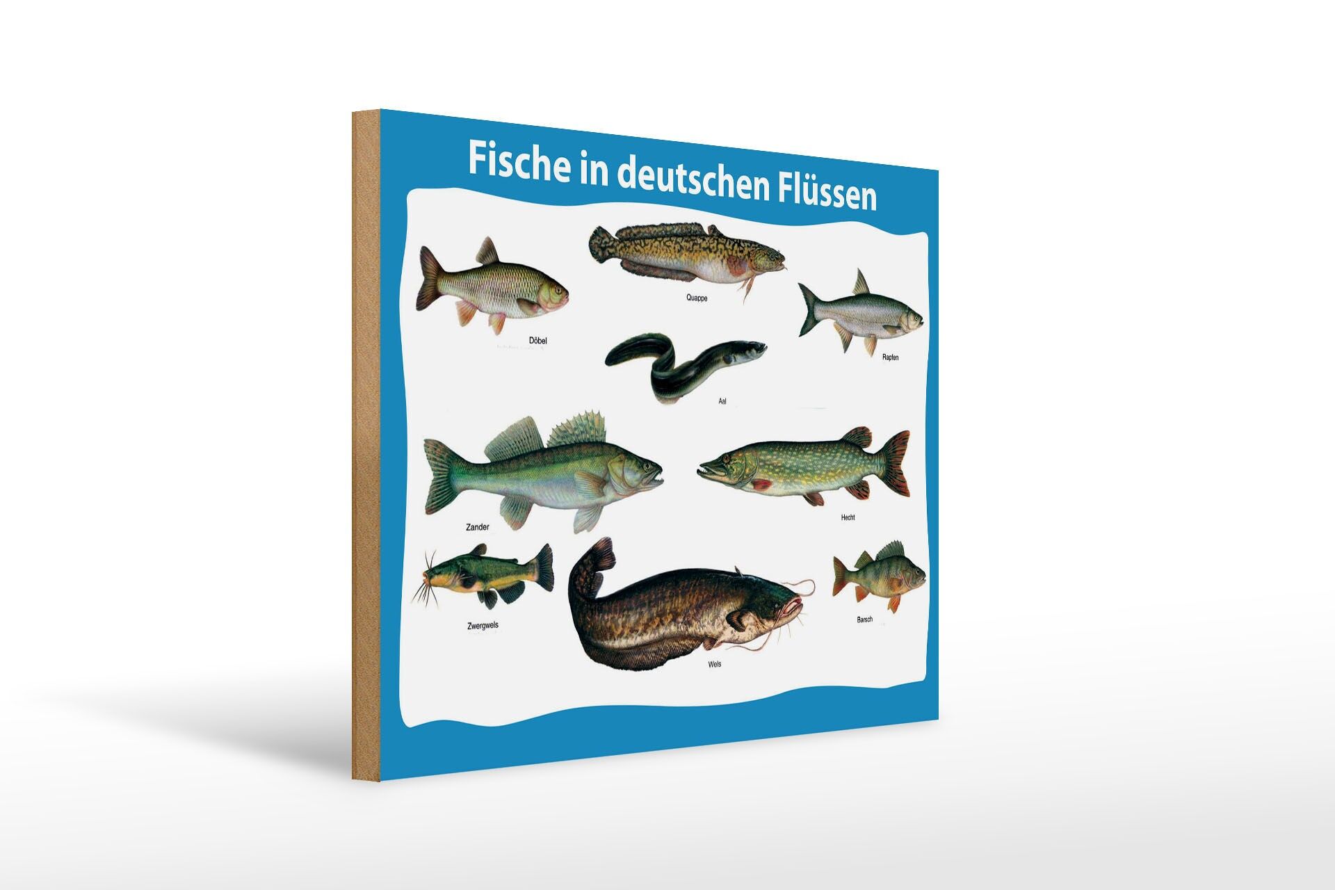 Letrero de madera, animales, 30x40 cm, peces en ríos alemanes, varias especies de peces.