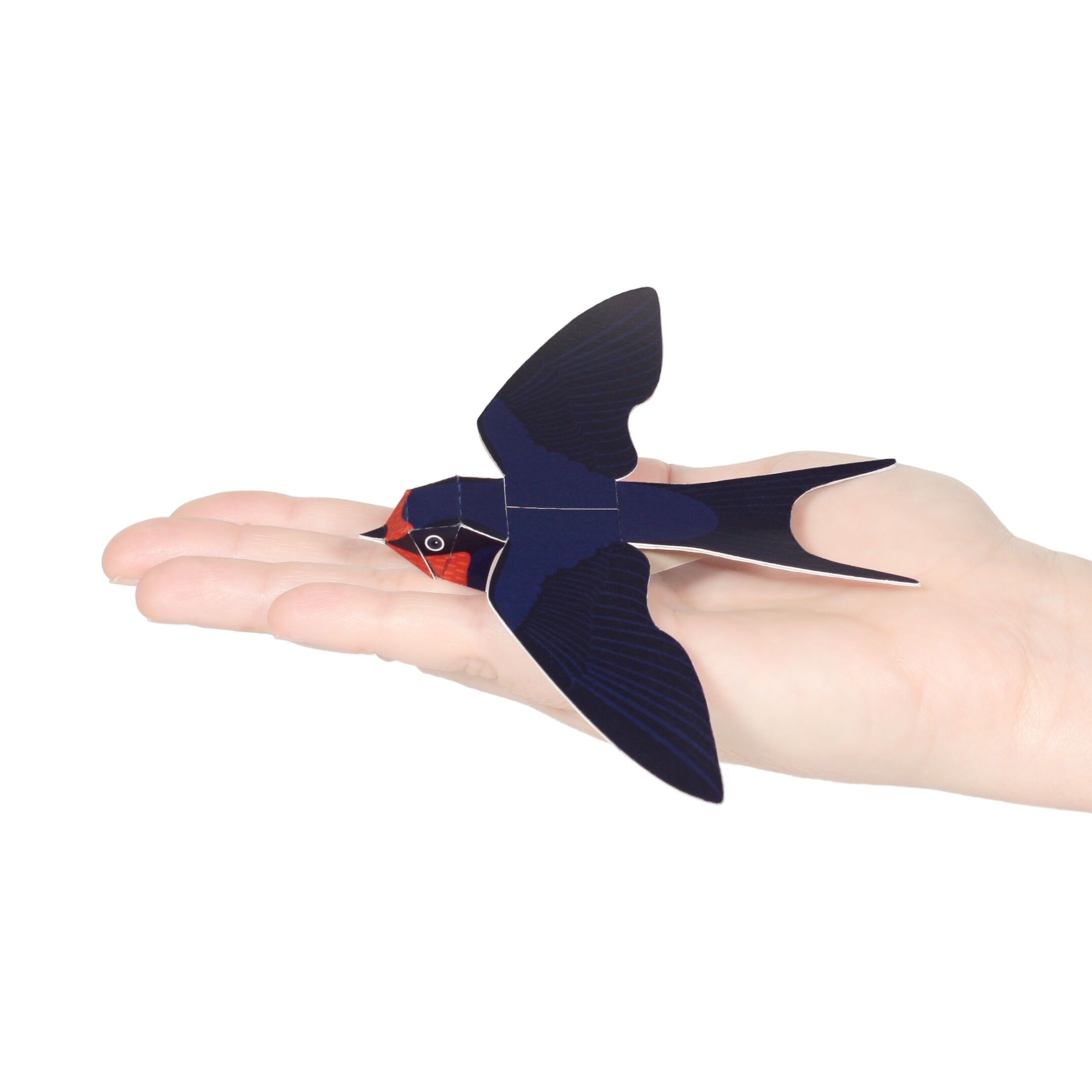 Postal de golondrina común