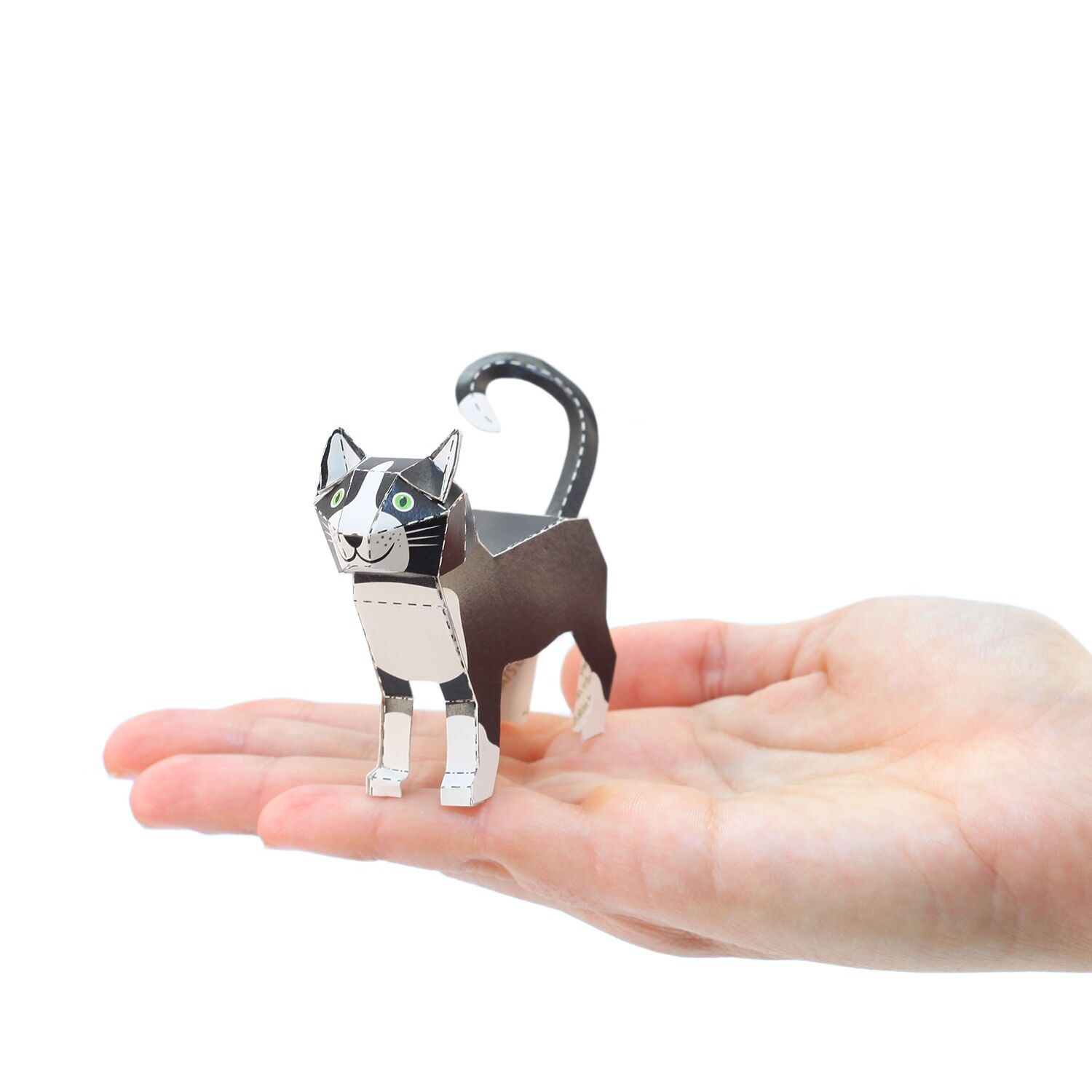 Postal de gato de pie