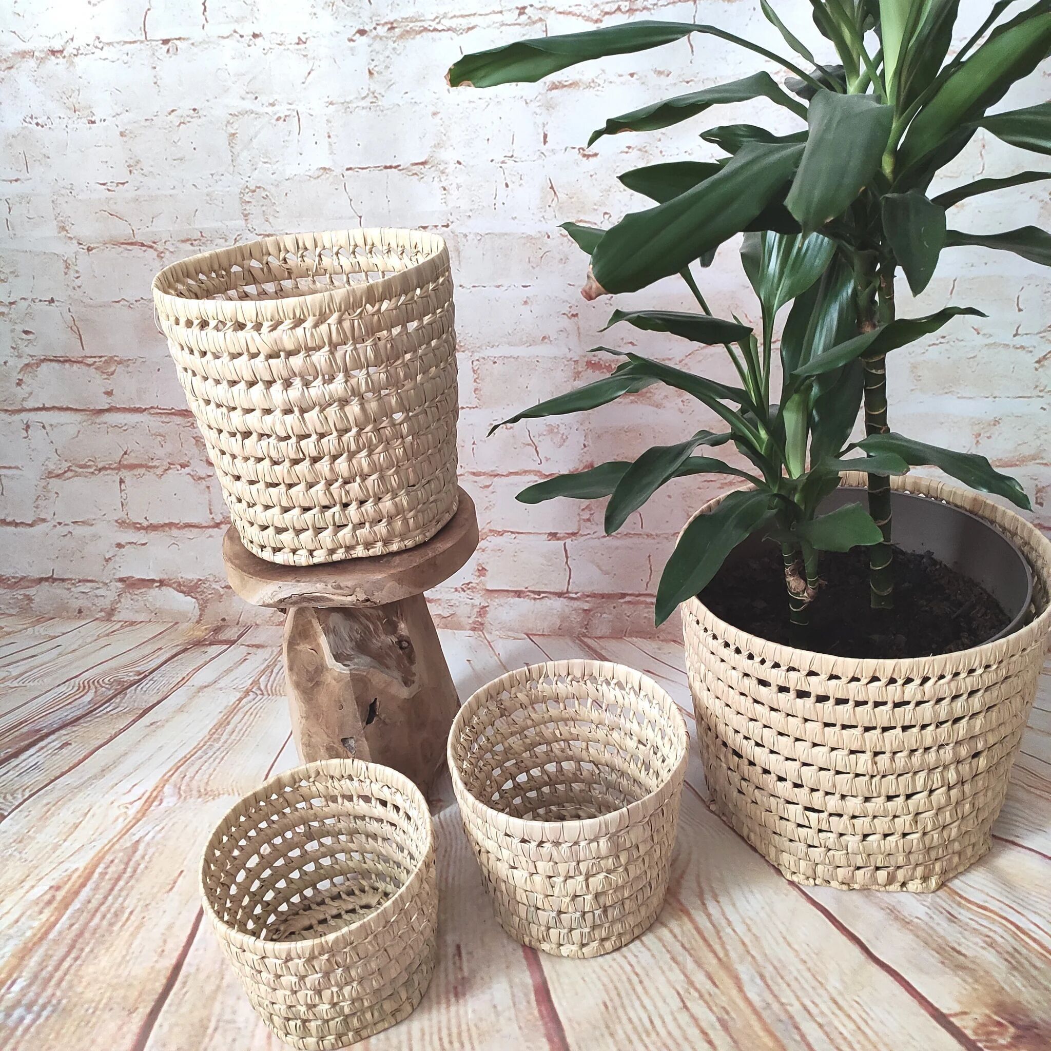 Handgefertigter runder Palmblattkorb – XS, S, M, L | Marokkanische Naturaufbewahrung