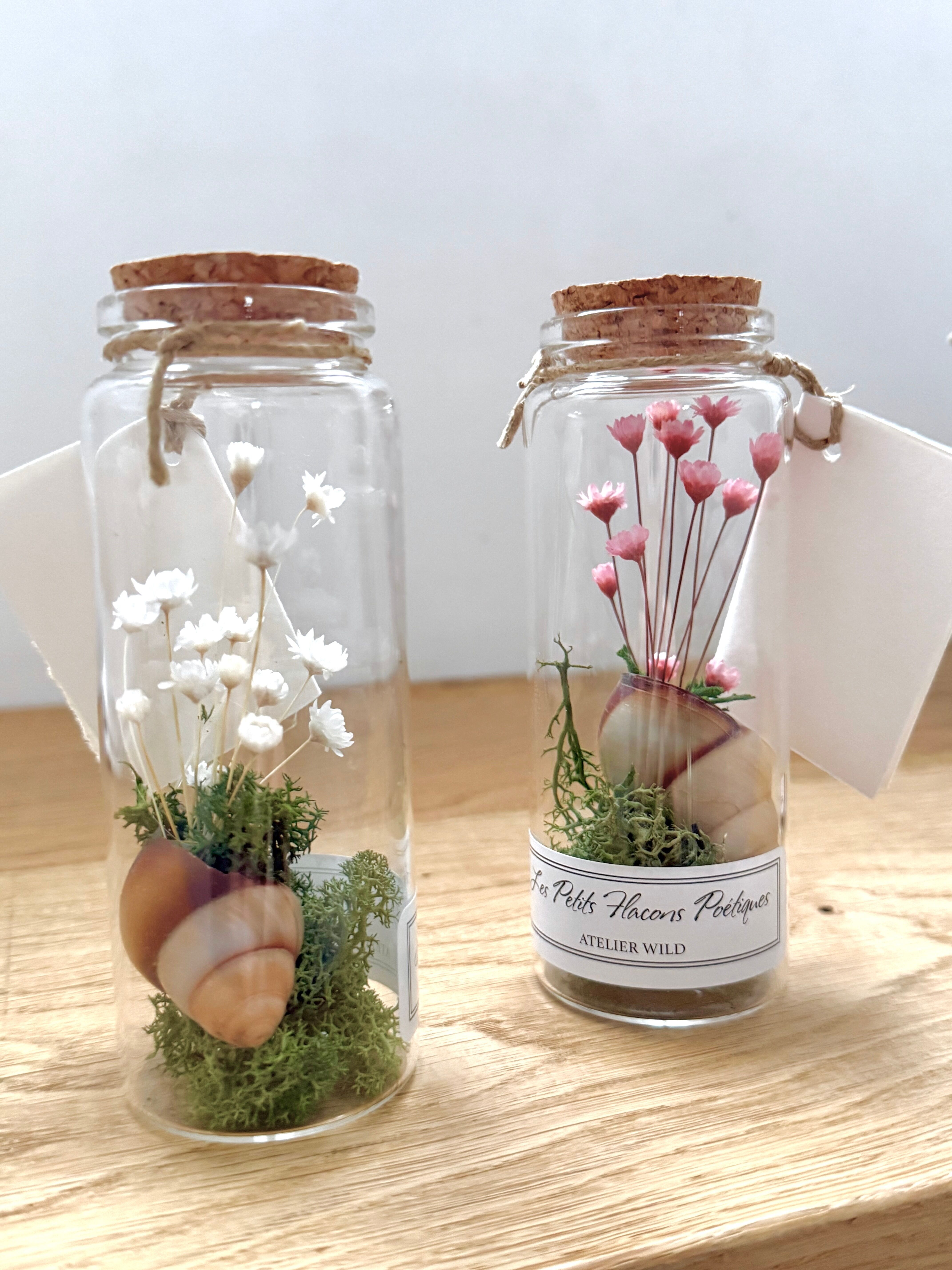 Piccole bottiglie poetiche "Conchiglia di lumaca e fiori" - Set di 6 colori assortiti