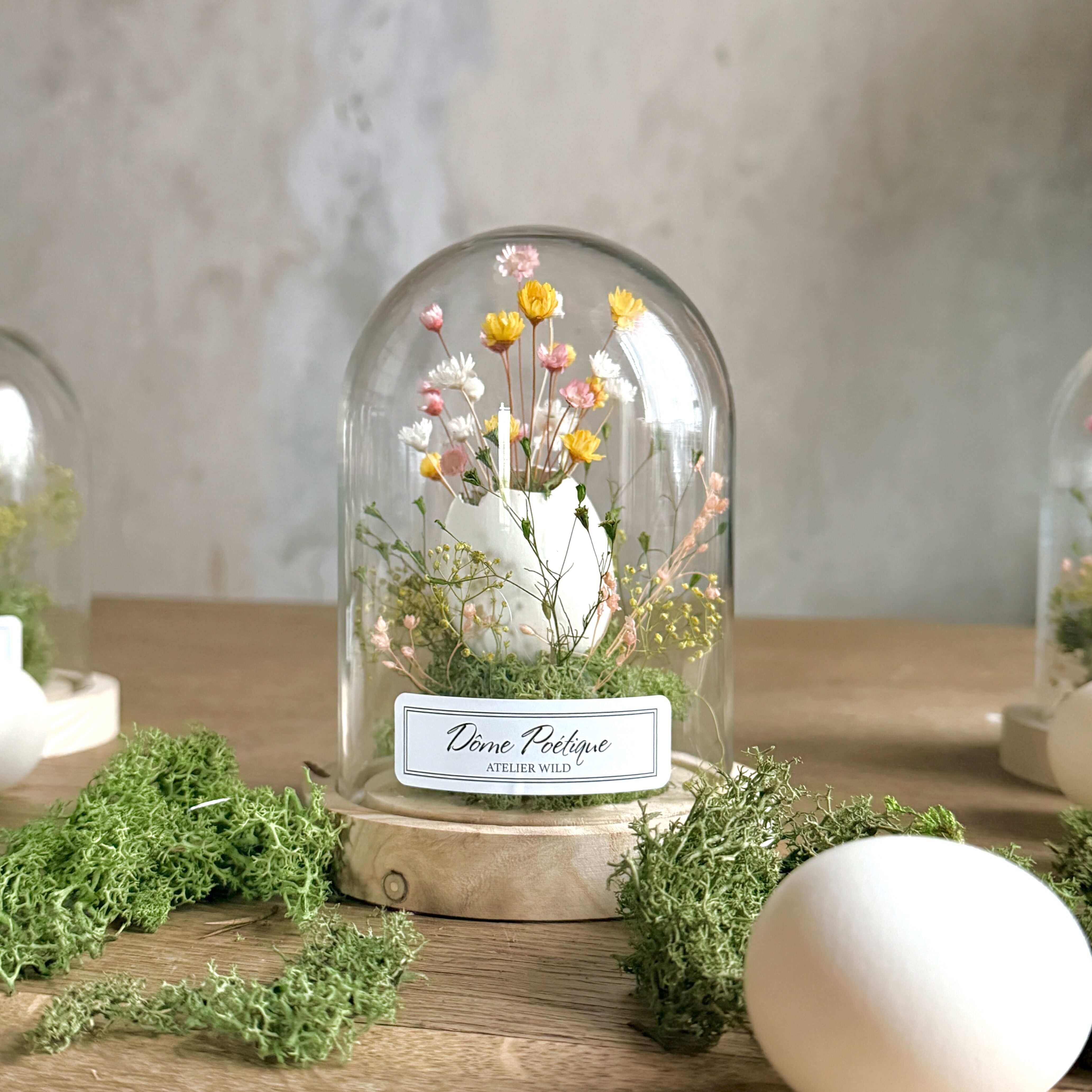 Poetic Dome "Uovo" - Medio